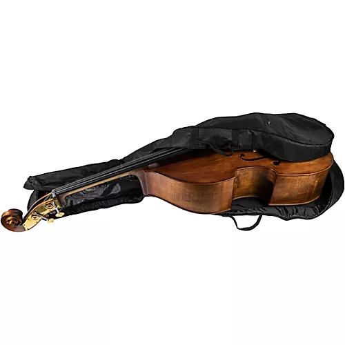 Scherl and Roth SR68 Sarabande Series Intermediate Double Bass Outfit with German Bow 3/4 - musicians--Friend