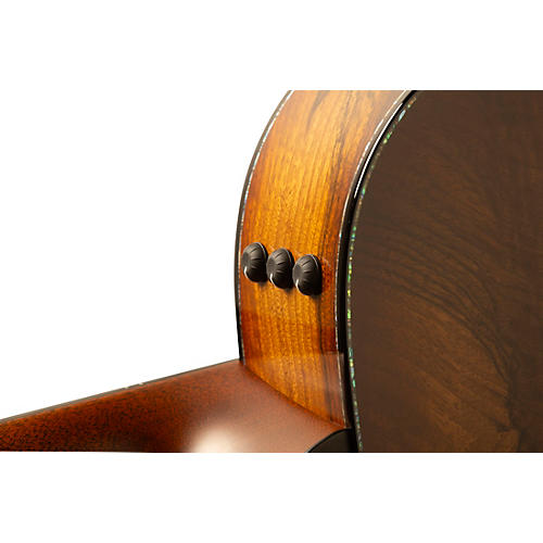 Taylor PS14ce LTD 50th Anniversary Walnut Grand Auditorium Acoustic-Electric Guitar Shaded Edge Burst - musicians--Friend