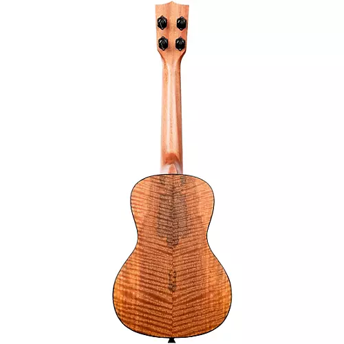 Kala KA-CM-C Curly Mango Concert Ukulele - musicians--Friend