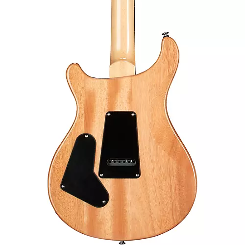 PRS SE Custom 24 Electric Guitar Sapphire Fade - musicians--Friend