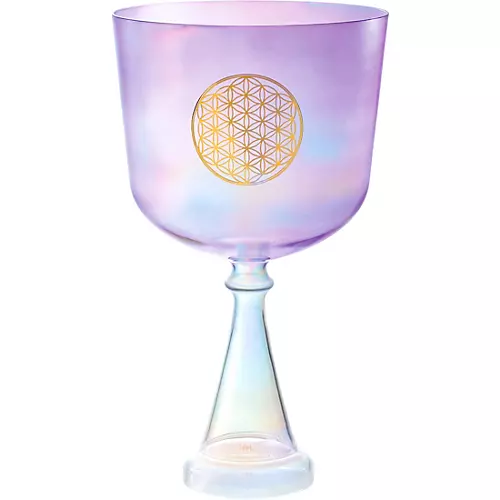 MEINL Sonic Energy Crystal Singing Chalice 6 in. - musicians--Friend