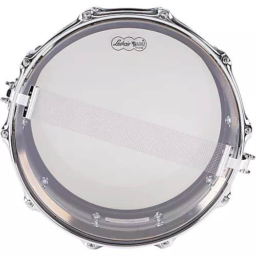Ludwig Black Beauty Snare Drum 6.5x14 - musicians--Friend