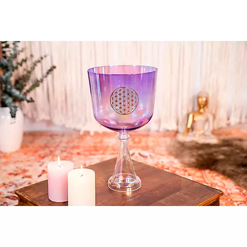 MEINL Sonic Energy Crystal Singing Chalice 6 in. - musicians--Friend