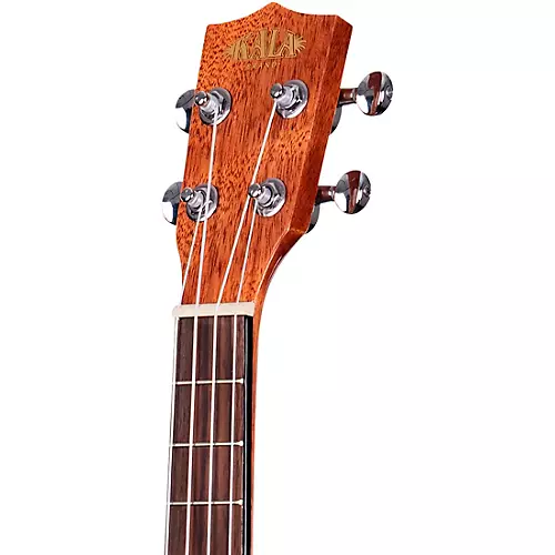 Kala KA-TG Tenor Gloss Ukulele - musicians--Friend