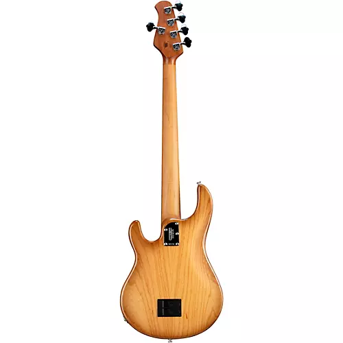 Ernie Ball Music Man StingRay5 Special H 5-String Electric Bass Guitar Black and Chrome - musicians--Friend