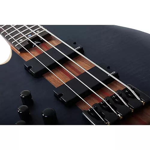 Schecter Guitar Research Charles Berthoud CB-4 Left-Handed Electric Bass See Thru Black Satin - musicians--Friend