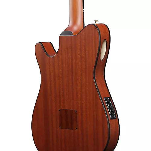 Ibanez FRH10N Nylon-String Acoustic-Electric Guitar Rose Gold Metallic Flat - musicians--Friend