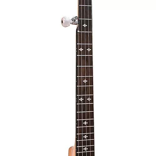 Gold Tone CC-100 (O) Open-Back Banjo Natural - musicians--Friend