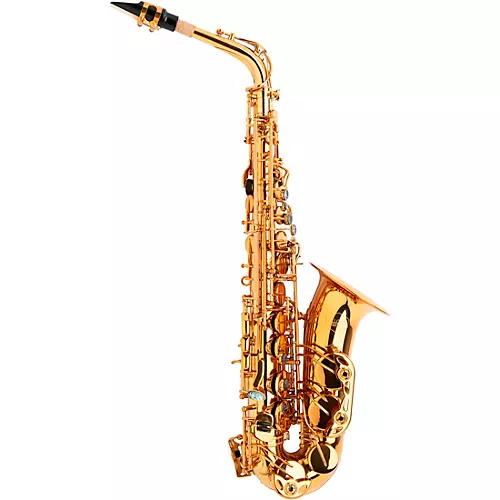 Allora AAS-580 Chicago Series Alto Saxophone Un-Lacquered Unlacquered Keys - musicians--Friend