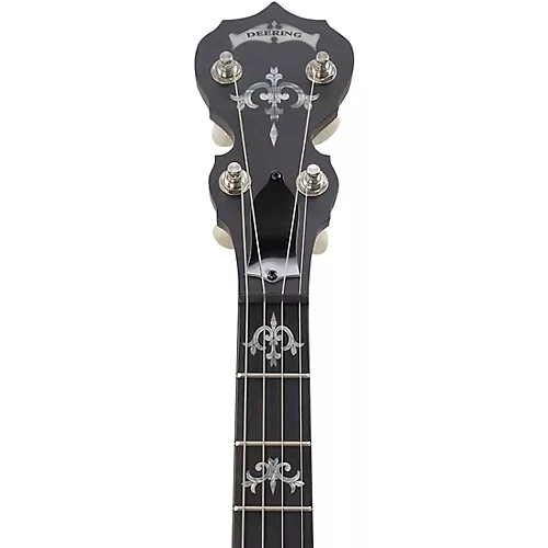 Deering Sierra 17-Fret Tenor Banjo - musicians--Friend