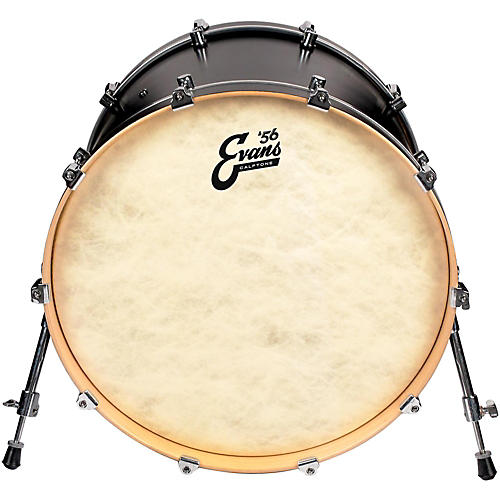 EVANS Calftone Bass Drum Head 18 in. - musicians--Friend