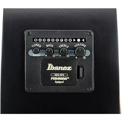 Ibanez AEG721 7-String Grand Concert Acoustic-Electric Guitar Blackout Flat - musicians--Friend