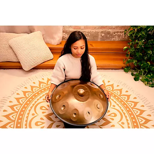 MEINL Sonic Energy D Kurd 10-Tone Sensory Handpan - musicians--Friend