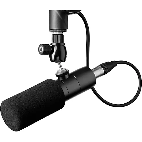 Earthworks ETHOS XLR Broadcasting Microphone Stainless Steel - musicians--Friend
