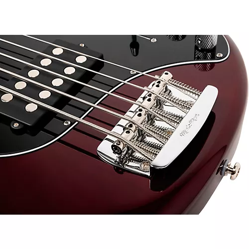 Ernie Ball Music Man StingRay Special 5 H 5-String Bass Guitar Dazzler - musicians--Friend