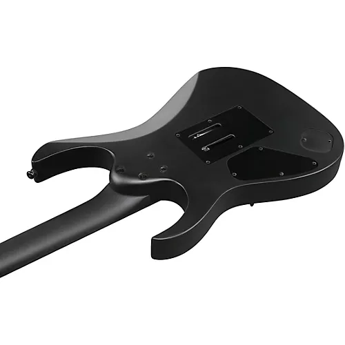 Ibanez Iron Label RGRB620 6-String Electric Guitar Black Flat - musicians--Friend