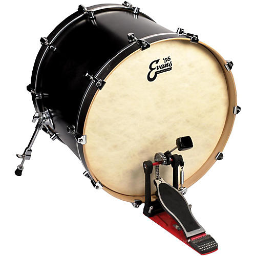 EVANS EQ4 Calftone Bass Drum Head 20 in. - musicians--Friend