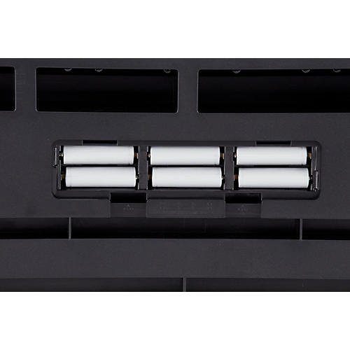 Roland GO:PIANO 61-Key Digital Piano - musicians--Friend