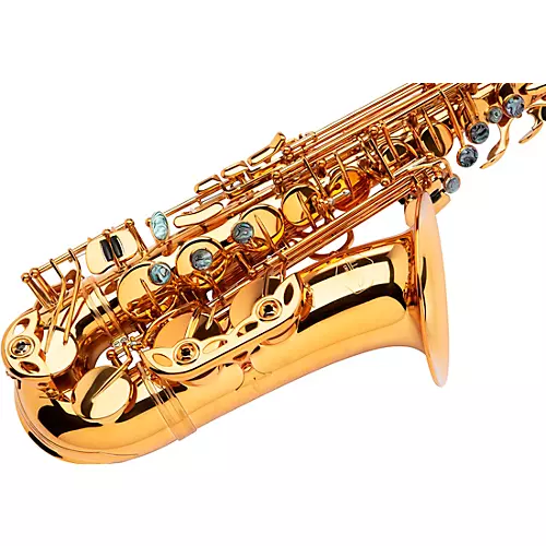 Allora AAS-580 Chicago Series Alto Saxophone Un-Lacquered Unlacquered Keys - musicians--Friend