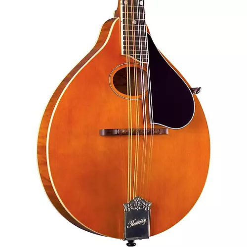 Kentucky KM-272 Deluxe Oval Hole A-Style Mandolin Transparent Amber - musicians--Friend