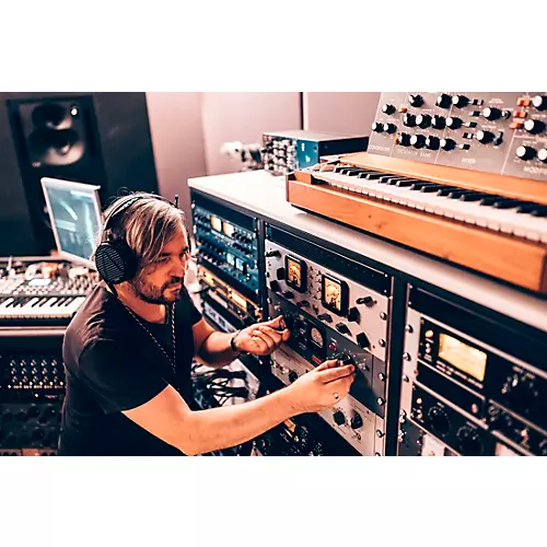 Audeze LCD-5 Black/Brown Red Acetate Rings - musicians--Friend