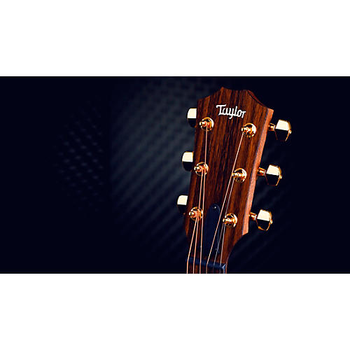 Taylor AD14ce-SB LTD 50th Anniversary Grand Auditorium Acoustic-Electric Guitar Tobacco Sunburst - musicians--Friend