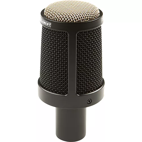 Heil Sound PR 31 BW Short Barrel Large-Diaphragm Dynamic Mic - musicians--Friend