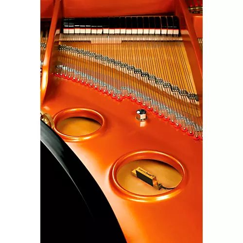 Barcus Berry 4000BRB Planar Wave System for Piano/Harp - musicians--Friend