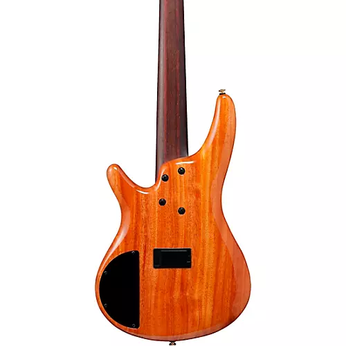 Ibanez Premium SR1605DW 5-String Electric Bass Guitar Autumn Sunset Sky - musicians--Friend