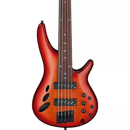 Ibanez SRD905F 5-String Fretless Electric Bass Guitar Brown Topaz Burst Low Gloss - musicians--Friend