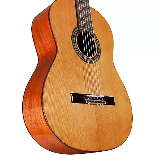 Alvarez AC65 Nylon-String Classical Acoustic Guitar - musicians--Friend