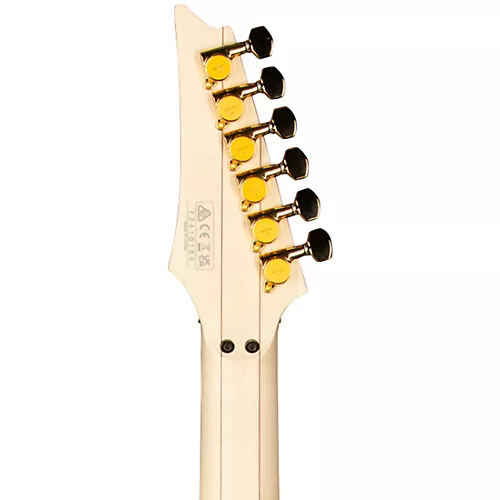 Ibanez PIA3761 Steve Vai Signature Electric Guitar Onyx - musicians--Friend