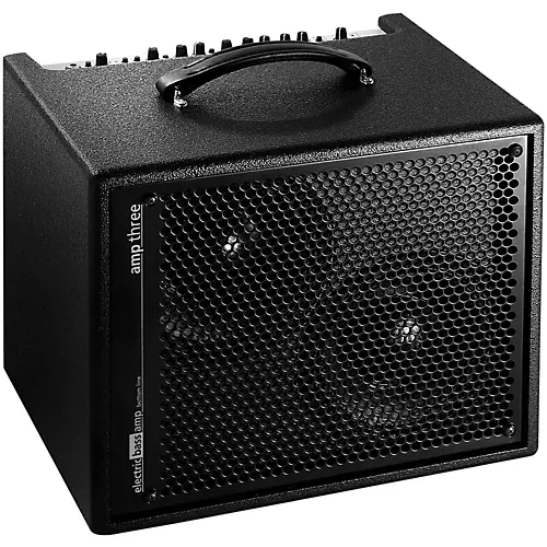 AER Amp-Three 200W Bass 2x8 Combo Amp - musicians--Friend