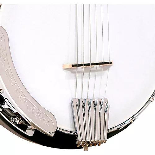 Gold Tone CC Banjitar Natural - musicians--Friend