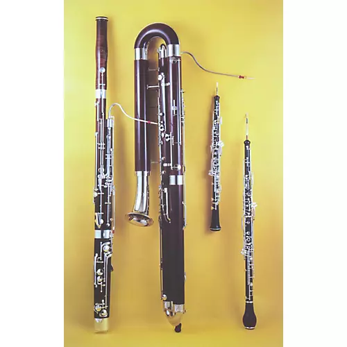 Alfred Meet the Instruments 25 Poster Set - musicians--Friend