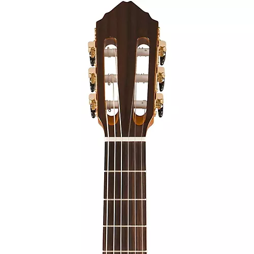 Lucero LFB250Sce Spruce/Cypress Thinline Acoustic-Electric Classical Guitar Natural - musicians--Friend