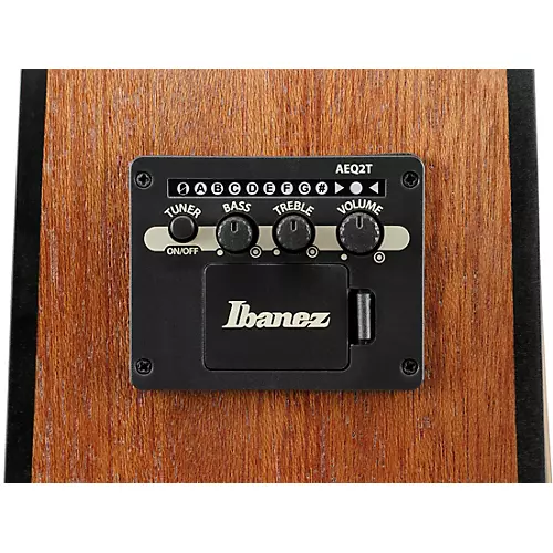 Ibanez PF50CE Dreadnought Acoustic-Electric Guitar Transparent Blue Burst - musicians--Friend