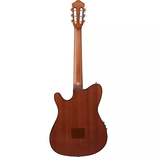 Ibanez FRH10N Nylon-String Acoustic-Electric Guitar Rose Gold Metallic Flat - musicians--Friend