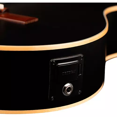 Ortega RCE125SN Family Series Thinline Acoustic-Electric Classical Guitar Satin Black - musicians--Friend