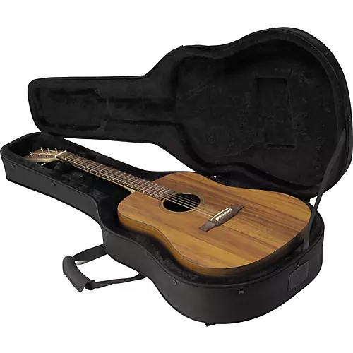 SKB Acoustic Guitar Soft Case - musicians--Friend