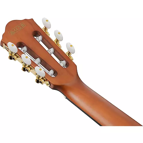 Ibanez FRH10N Nylon-String Acoustic-Electric Guitar Rose Gold Metallic Flat - musicians--Friend