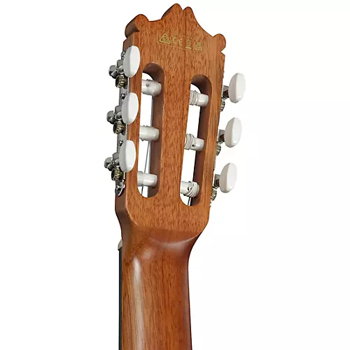 Ibanez GA3ECE Cutaway Acoustic-Electric Guitar Amber - musicians--Friend