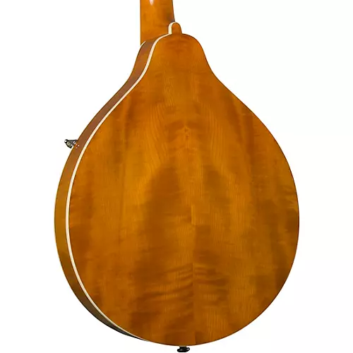 Kentucky KM-252 Deluxe A-Style Mandolin Transparent Amber - musicians--Friend