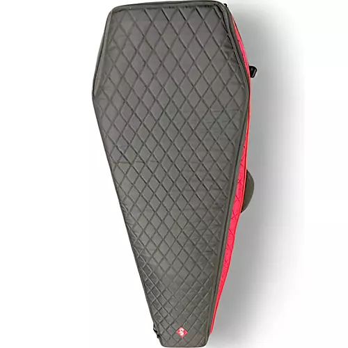 Used Coffin Case BASS BAG Electric Guitar Case - musicians--Friend