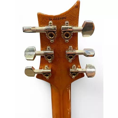 Used PRS Custom 24 ANGRY LARRY Solid Body Electric Guitar ANGRY LARRY - musicians--Friend