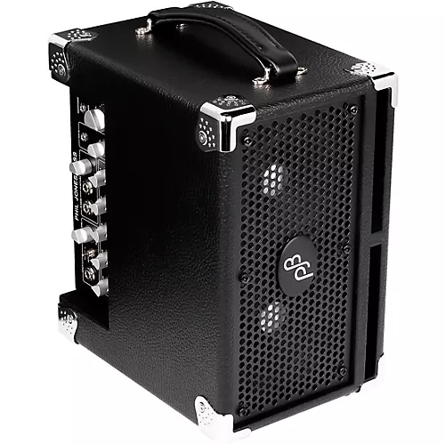 Phil Jones Bass BG-120B Bass Cub Pro 2x5 120W Combo Amp Black - musicians--Friend