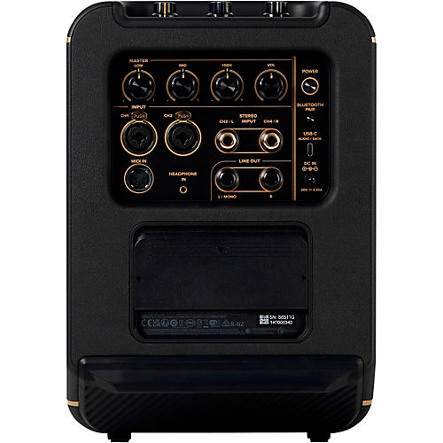 Positive Grid Spark EDGE Portable 4-Channel Smart Amp & PA Black - musicians--Friend