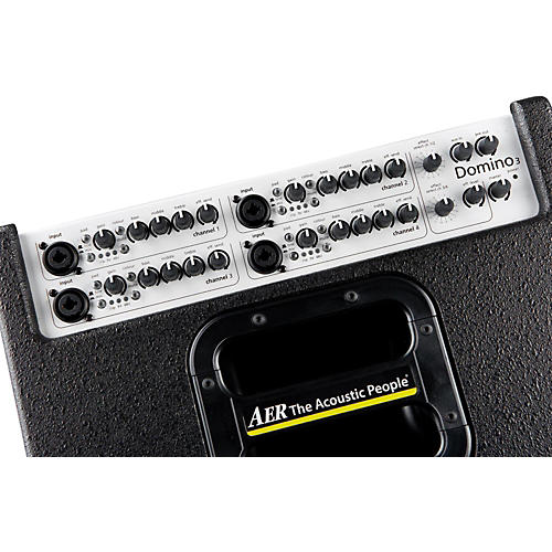 AER Domino 3 2x8 200W Stereo Acoustic Guitar Combo Amp - musicians--Friend