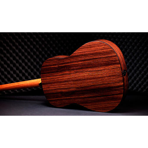 Taylor 217e Plus Grand Pacific Acoustic-Electric Guitar Tobacco Sunburst - musicians--Friend