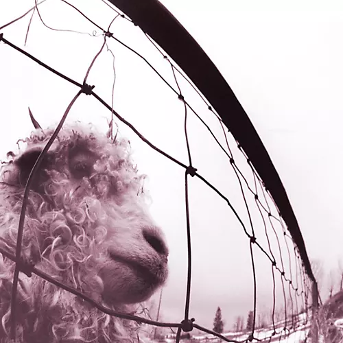 Pearl Jam - Vs. (30th Anniversary Edition) [2 LP] - musicians--Friend